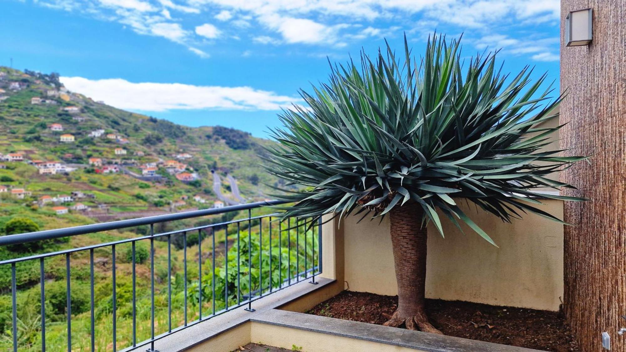 Capela'S House By Lovelystay Ribeira Brava Dış mekan fotoğraf